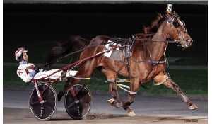 Desperate Man, 2021 Canadian Horse of the Year, has retired from the track